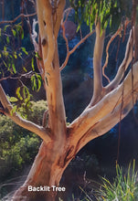 Load image into Gallery viewer, Photographic Cards