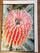 Load image into Gallery viewer, Photographic Cards