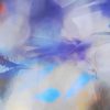 Load image into Gallery viewer, &quot;Superb Fairy Wren&quot; Silk Scarf  160cm x 25cm
