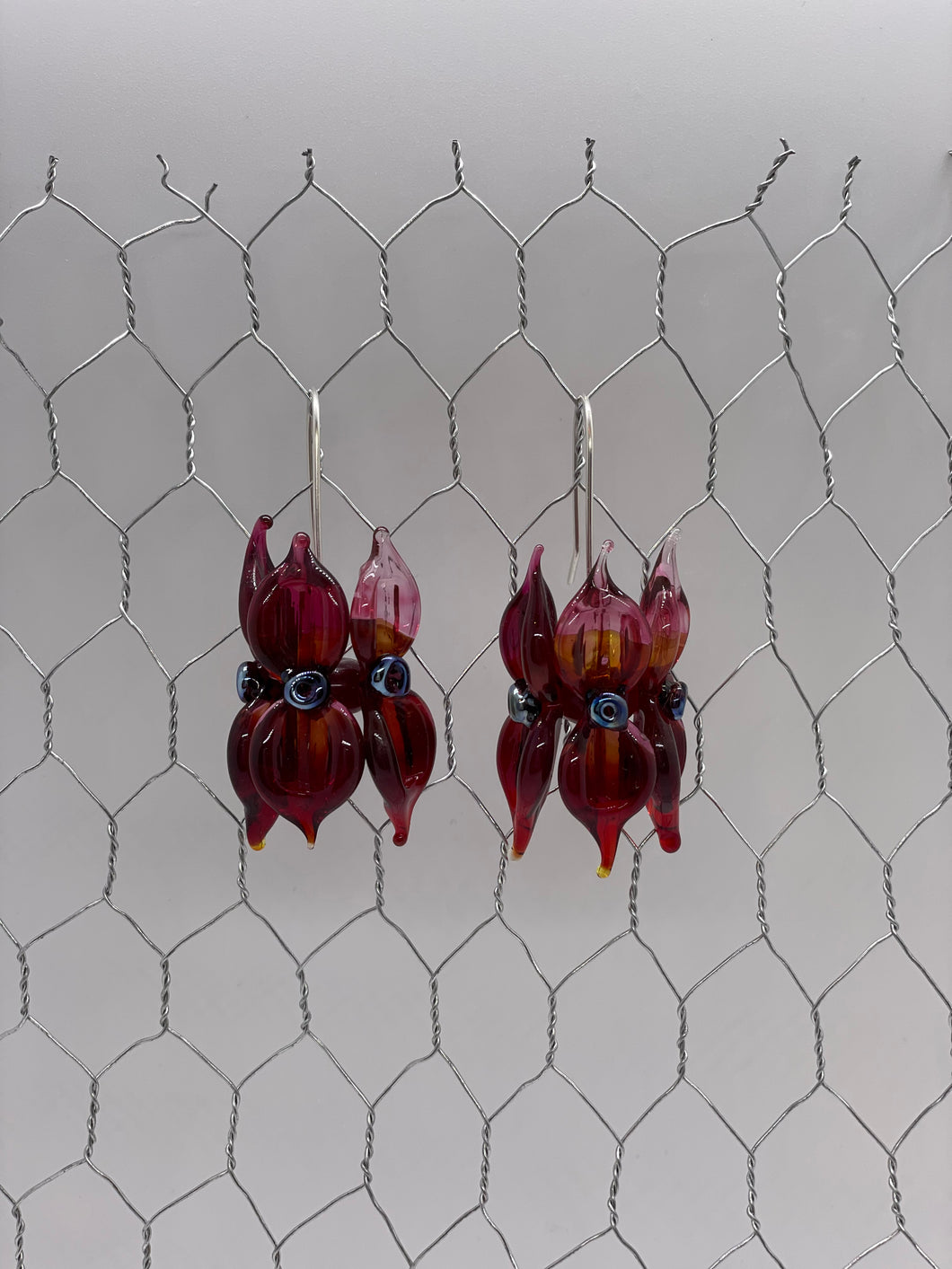 Ruby Red with Pink Tip & Silver Sturt's Desert Pea Glass Earrings