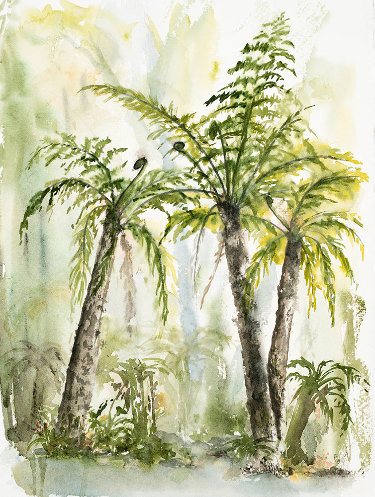 Treeferns Watercolour 28 x 42cm Signed Print