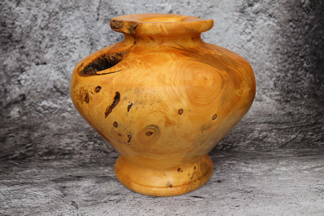 Large Magnolia Vase