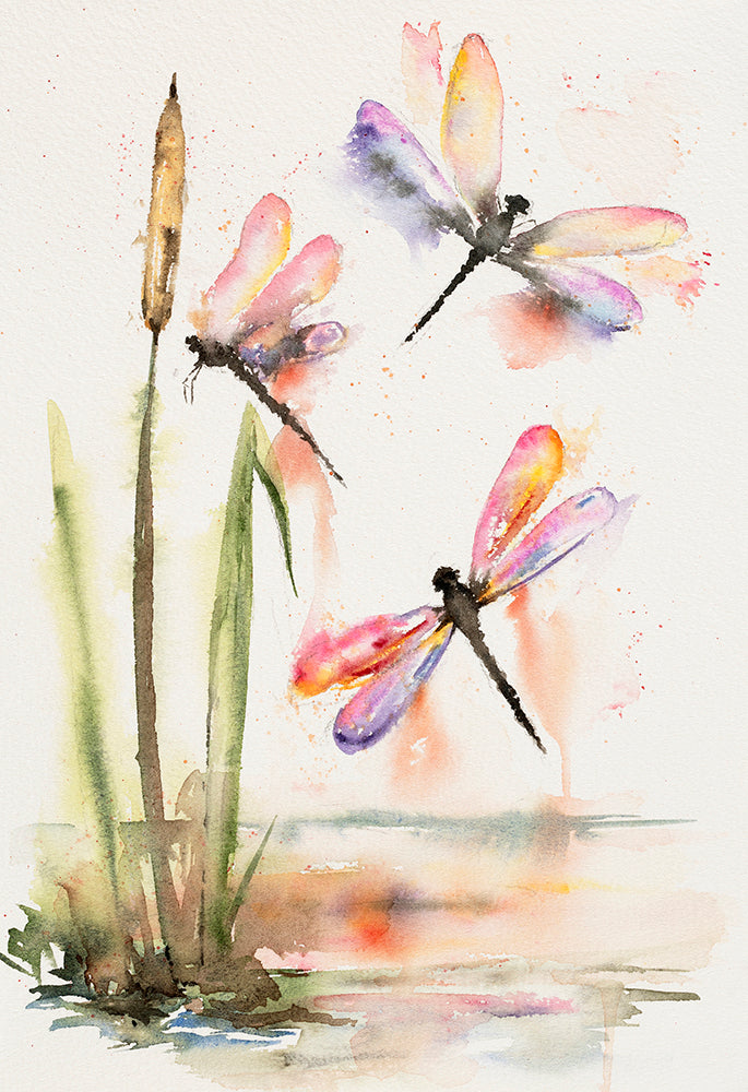 Dragonflies on Reeds 28 x 42 cm Signed Print