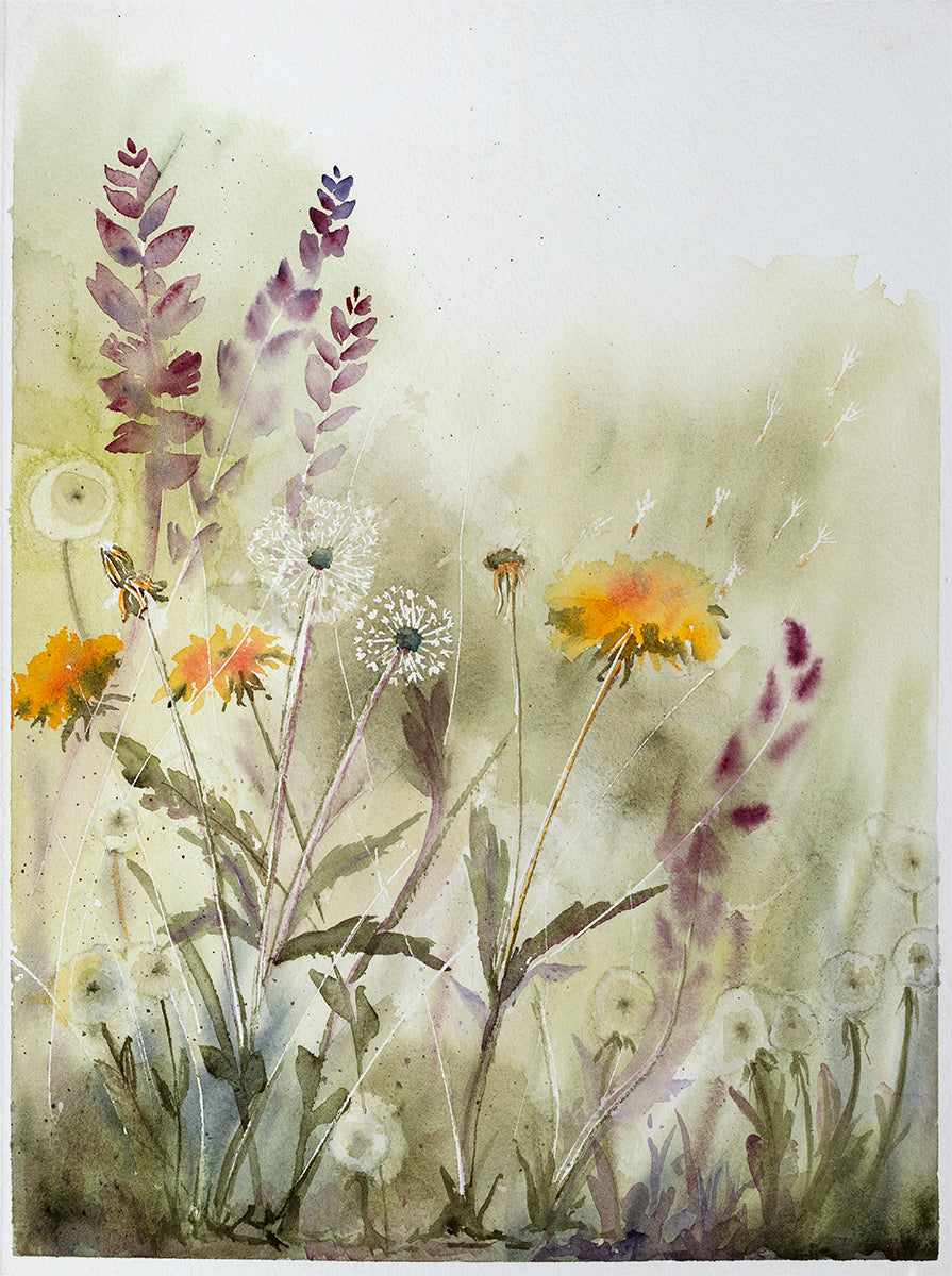 Dandelion Flowers Card