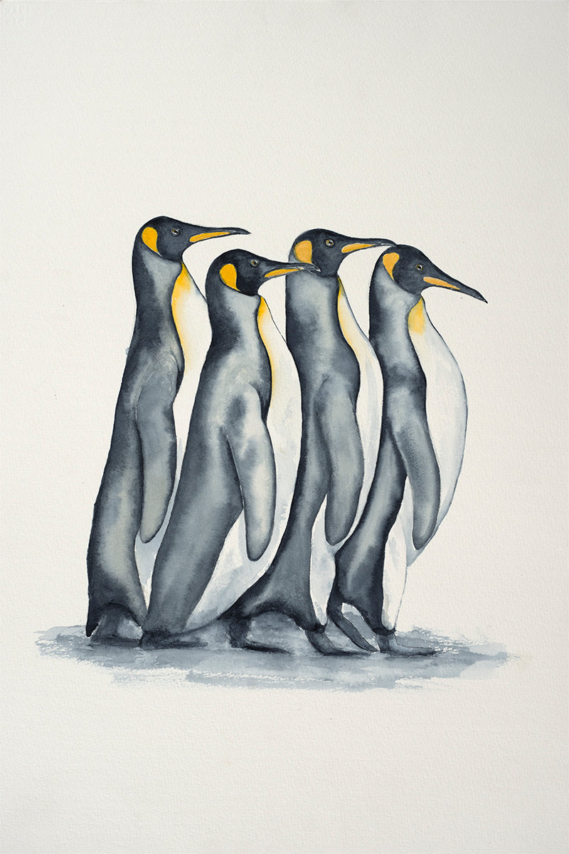 4 Penguins Card