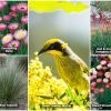 Load image into Gallery viewer, Native Bird Seed Bomb
