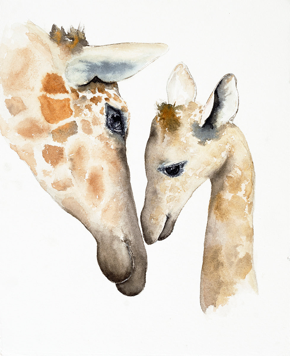 Giraffe Mother & Child 28 x 42cm Signed Print